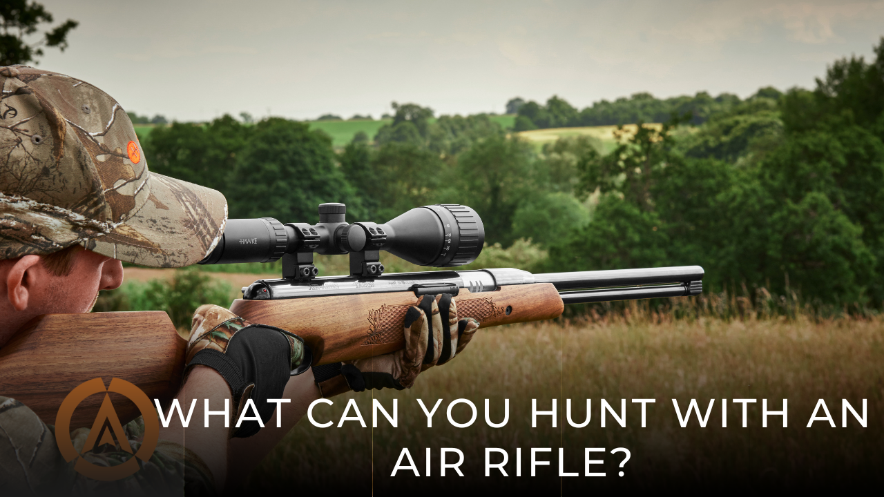 What can you hunt with an air rifle?